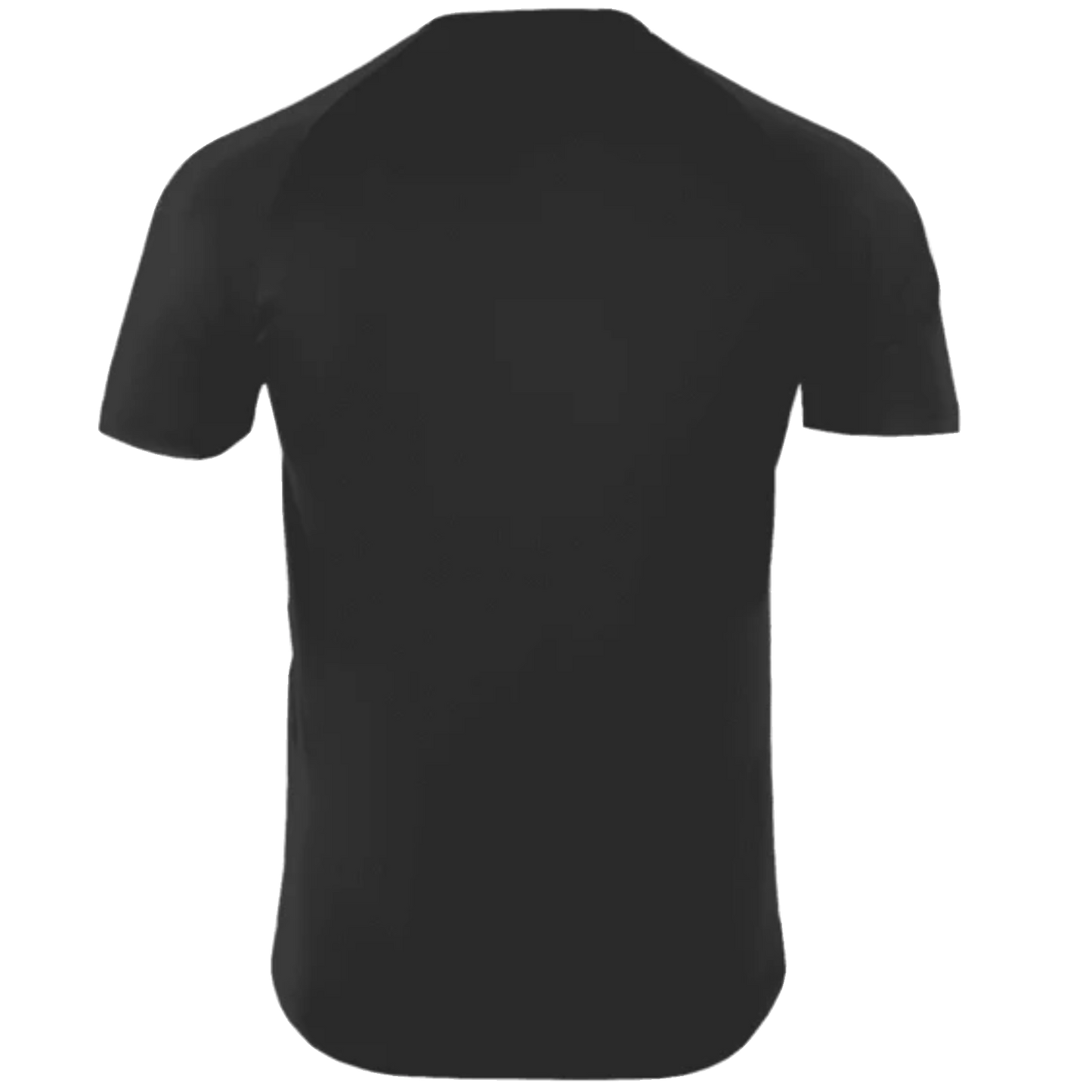 Men's Crew Neck Polyester Tee (TALL)
